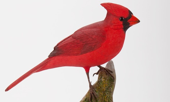 Cardinal on Rock
